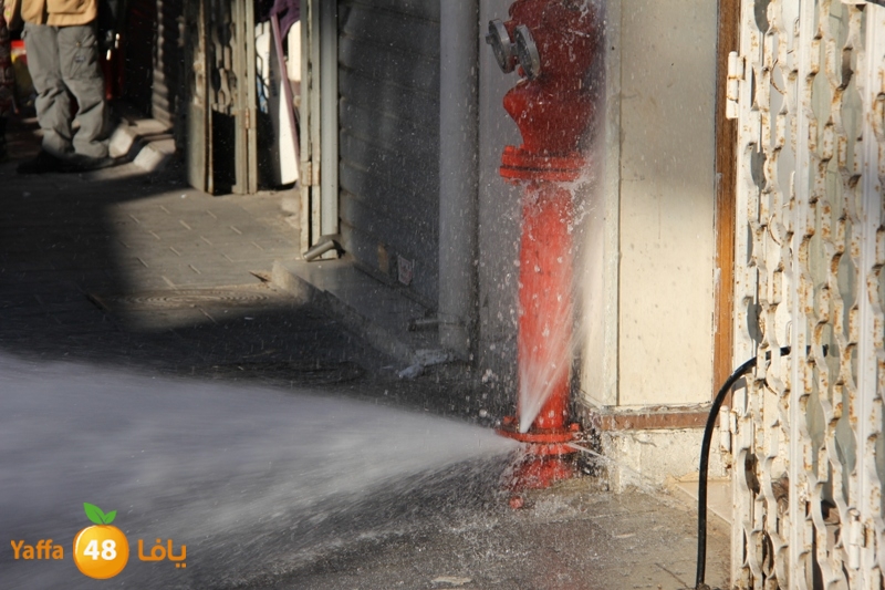 naforea jsadsah (5).JPG